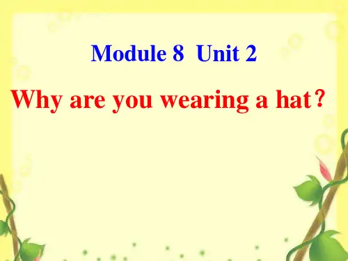 外研社(三起)小学英语六年级下册Module8 Unit2 课件