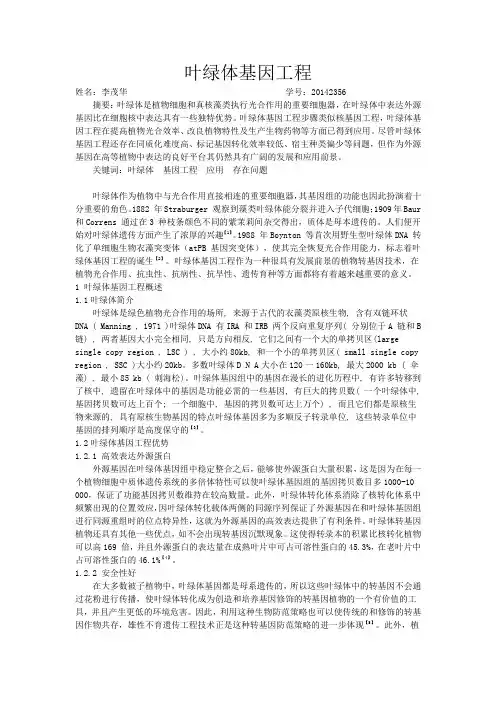 叶绿体基因工程