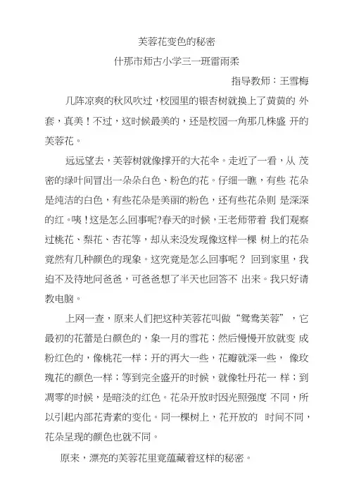 芙蓉花变色的秘密