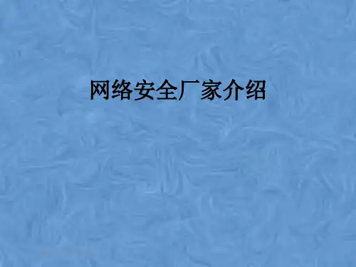 网络安全厂家介绍