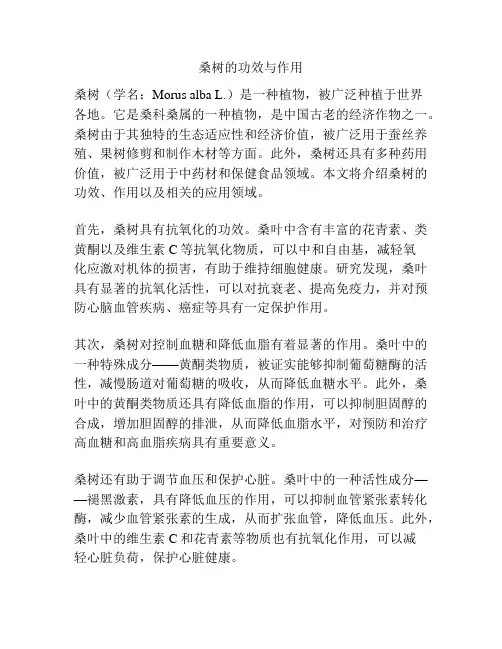 桑树的功效与作用