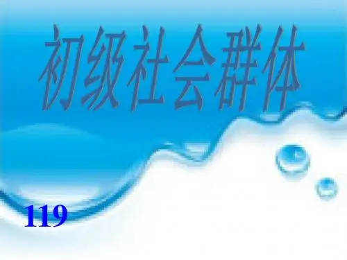 初级社会群体