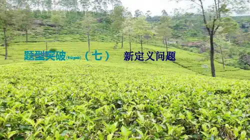中考数学总复习 题型突破(07)新定义问题课件