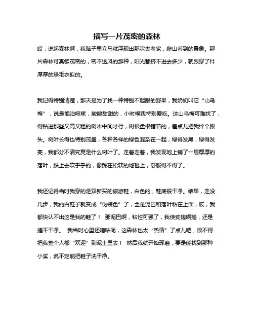 作文《描写一片茂密的森林》