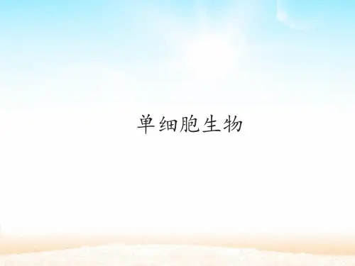 鲁科版六年级上册生物课件 2.2.2 单细胞生物(共18张PPT)