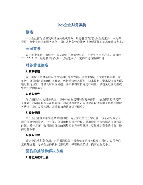中小企业财务案例
