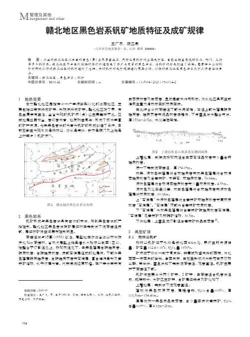 赣北地区黑色岩系钒矿地质特征及成矿规律
