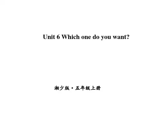 湘少版2020-2021学年五年级英语上册Unit 6 Which one do you want课件