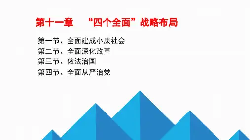 第十一章 “四个全面”战略布局