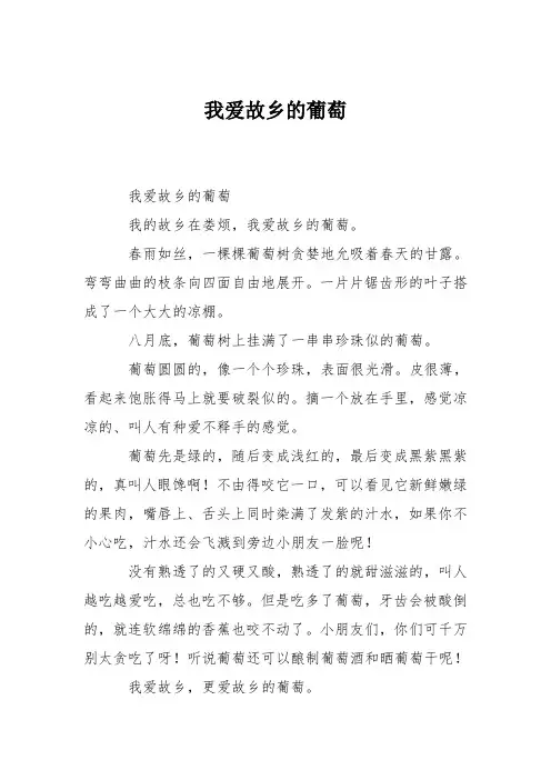 小学三年级作文：我爱故乡的葡萄361