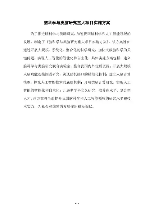 脑科学与类脑研究重大项目实施方案