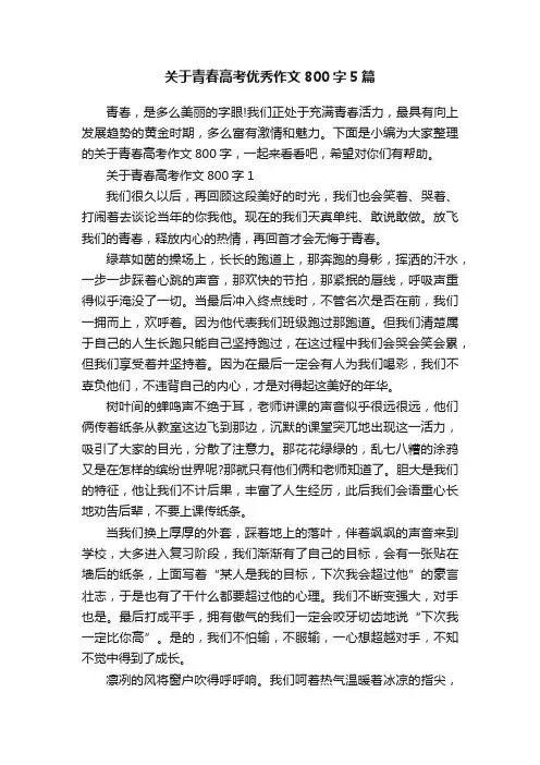 关于青春高考优秀作文800字5篇