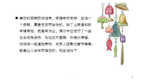 假期社会实践报告-ppt课件