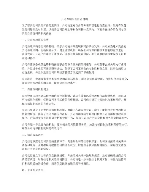 公司专项治理自查自纠