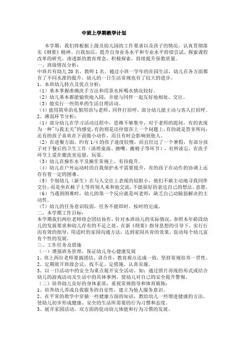 中班上学期教学计划 2