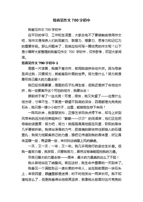 我看见作文700字初中