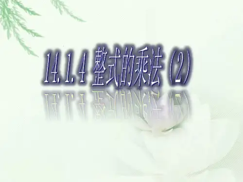 人教版数学八年级上册整式的乘除PPT精品课件2