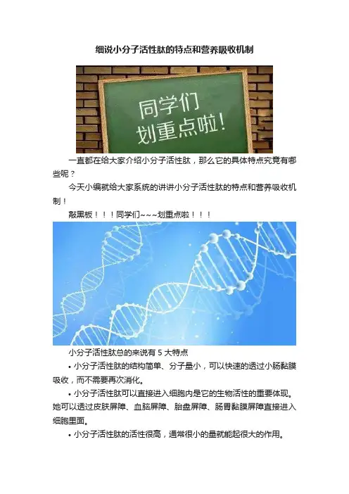 细说小分子活性肽的特点和营养吸收机制