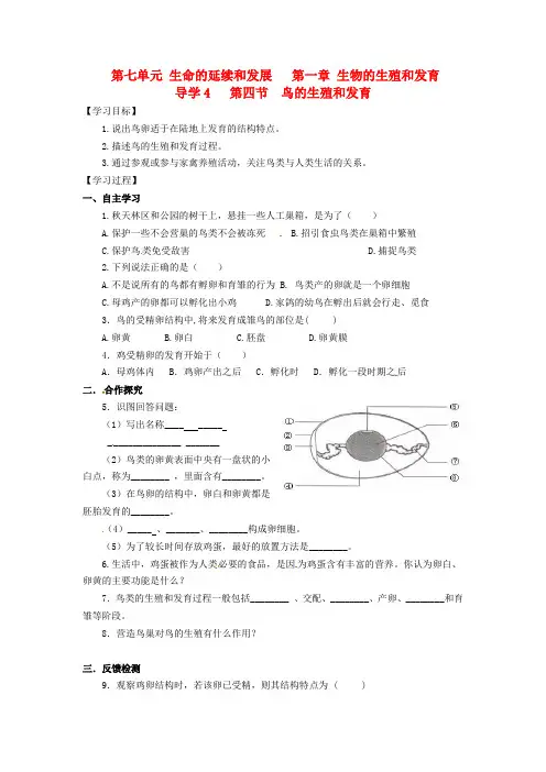 济南版生物-八年级上册-第四单元 第二章 第3节 鸟的生殖和发育同步导学案