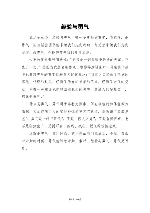 经验与勇气_高考作文_1