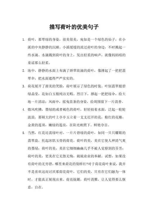 描写荷叶的优美句子