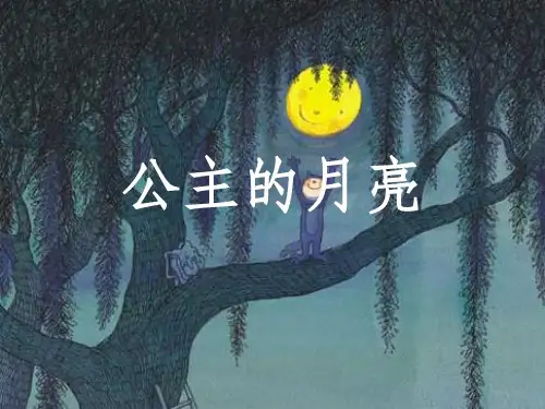 公主的月亮