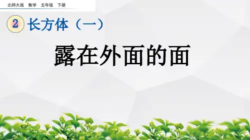 北师大版数学五年级下册课件：2.5 露在外面的面