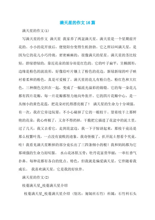 满天星的作文16篇