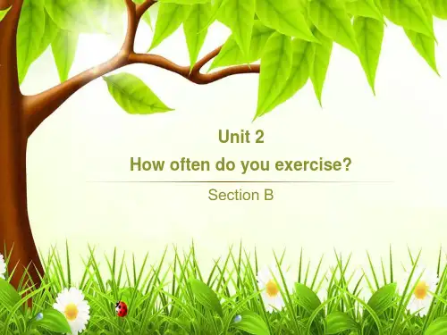 人教版八年级英语上册Unit 2 Section B 课件2
