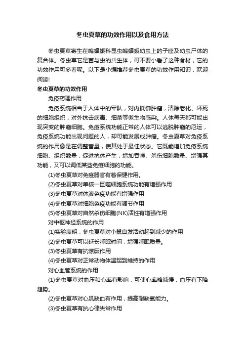 冬虫夏草的功效作用以及食用方法