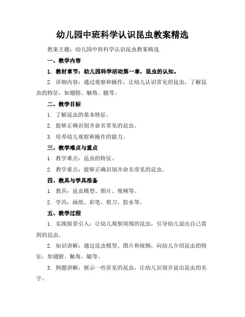 幼儿园中班科学认识昆虫教案精选