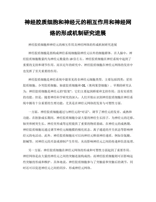 神经胶质细胞和神经元的相互作用和神经网络的形成机制研究进展