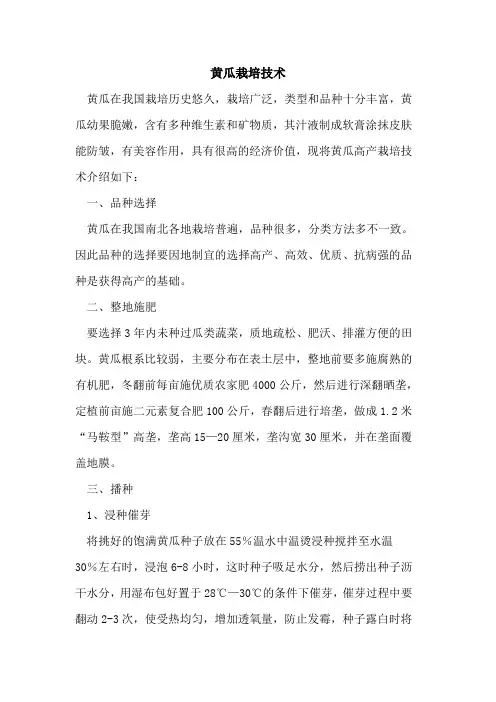 黄瓜栽培技术