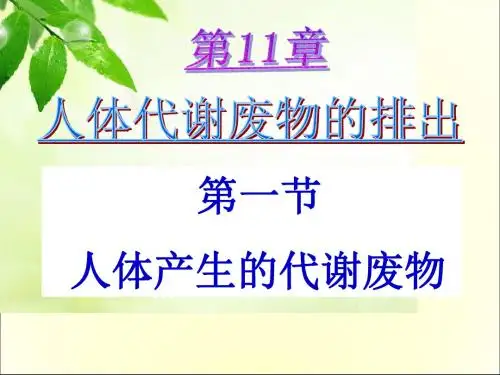 北师大版七年级下册11.1人体产生的代谢废物共13张PPT