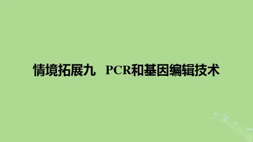 2025版高考生物一轮总复习选择性必修3情境拓展9PCR和基因编辑技术课件