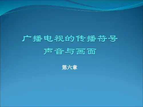 第六章 广播电视的传播符号