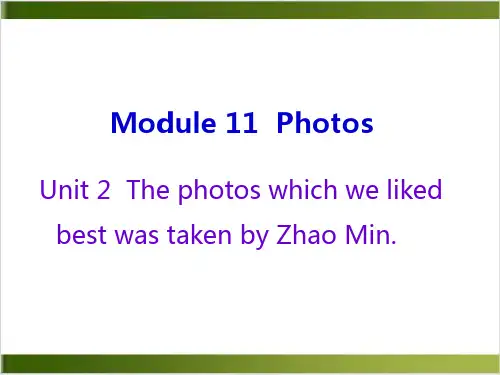 外研版九年级英语上册PPT课件下载-module11unit2(35张)
