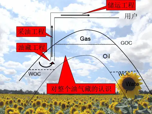 1油气藏概述N-西南石油大学-油藏工程原理-李传亮ppt课件