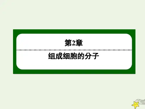 2021学年高中生物第2章组成细胞的分子3遗传信息的携带者__核酸课件人教版必修1.ppt