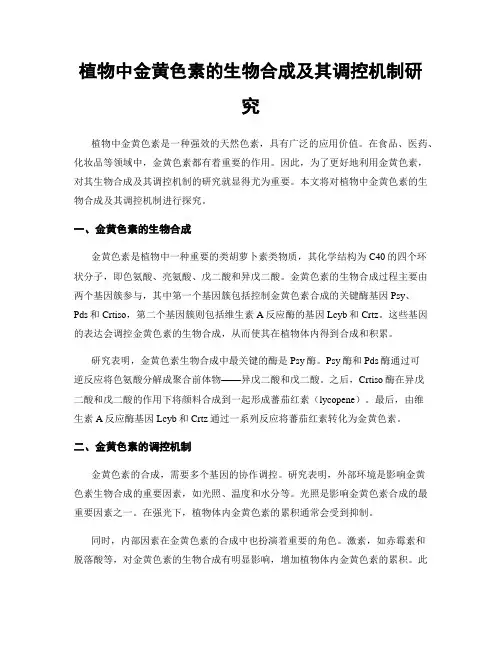植物中金黄色素的生物合成及其调控机制研究