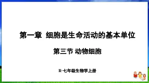 人教版生物七上第一章第三节 动物细胞(24页附练习题)