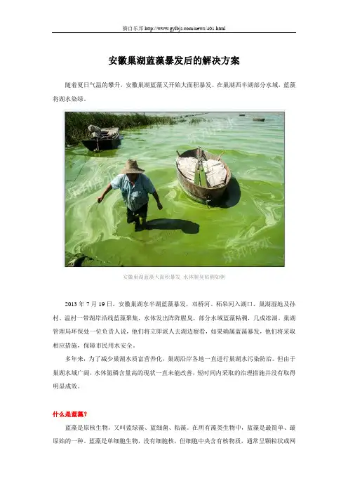 安徽巢湖蓝藻暴发后的解决方案