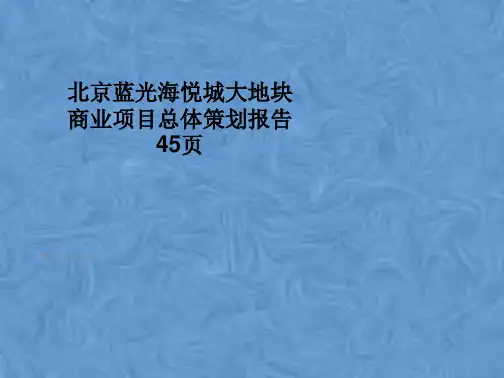 北京蓝光海悦城大地块商业项目总体策划报告45页