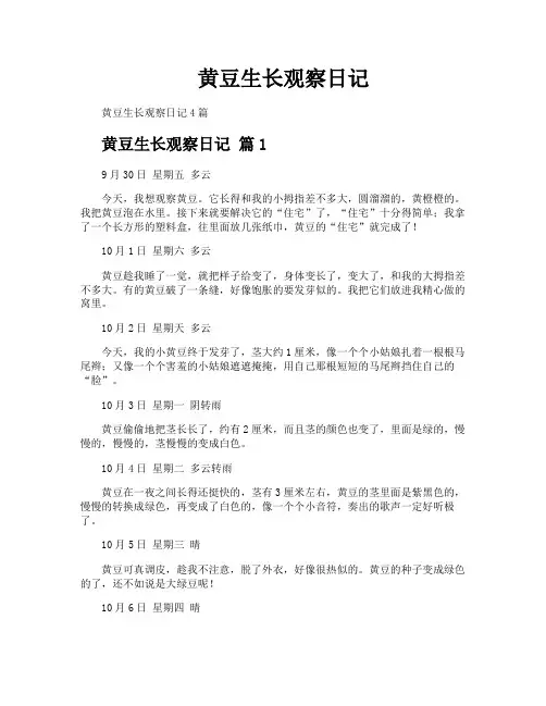 黄豆生长观察日记