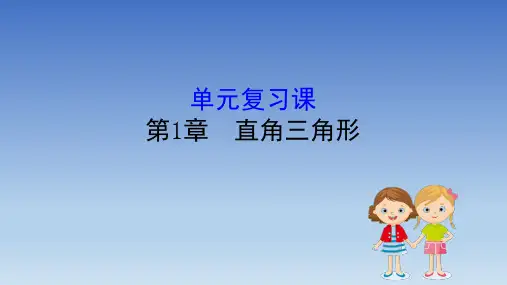 湘教版数学八年级下册  全册单元复习课1-5单元