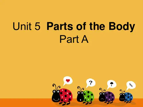 闽教版英语三年级下册Unit 5 Parts of the Body Part A课件