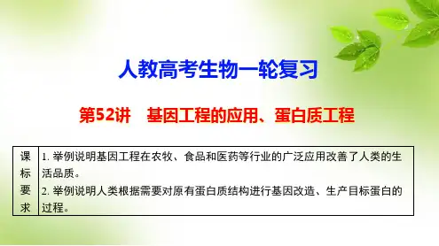 人教高考生物一轮复习：第52讲 基因工程的应用、蛋白质工程