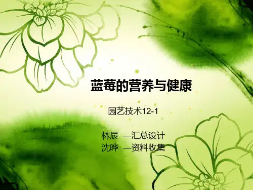 蓝莓的营养与健康