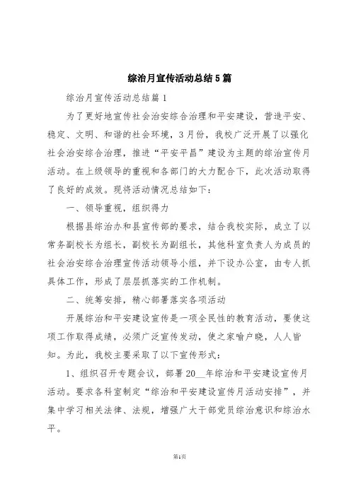 综治月宣传活动总结5篇
