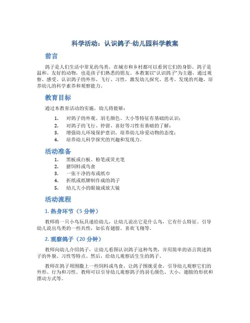 科学活动：认识鸽子-幼儿园科学教案